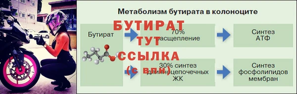 шишки Сясьстрой