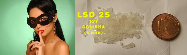 шишки Сясьстрой