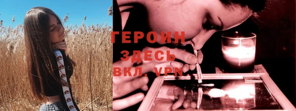 шишки Сясьстрой