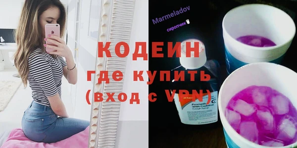 шишки Сясьстрой