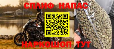 PSILOCYBIN Бузулук