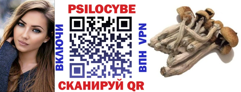 где купить наркоту  Избербаш  Галлюциногенные грибы Cubensis 