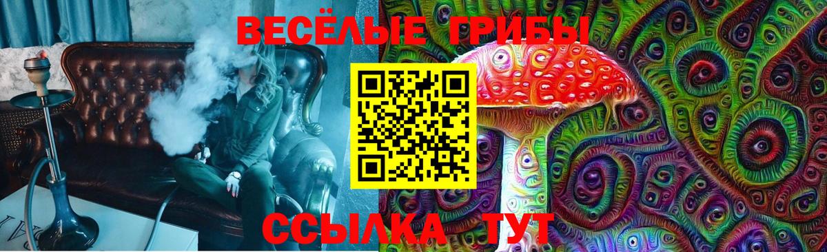 Галлюциногенные грибы Magic Shrooms Избербаш